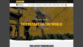 Website thumbnail