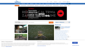 Website thumbnail