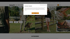 Website thumbnail